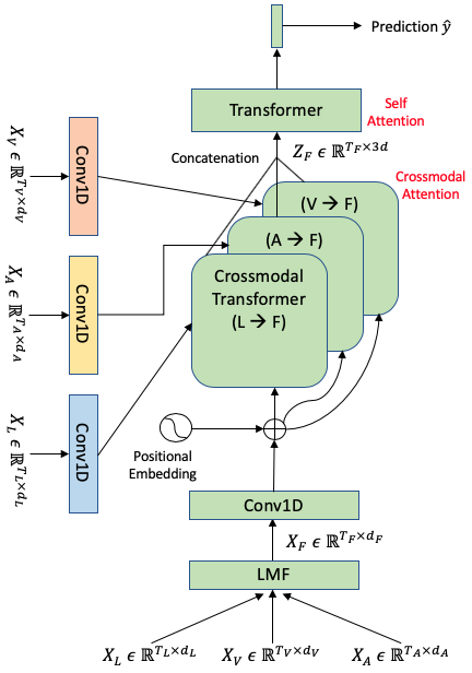 Low Rank Fusion Transformer architecture — our most compact model, where all three modalities attend to the LMF-fused signal through a single crossmodal transformer, followed by one self-attention transformer for prediction.